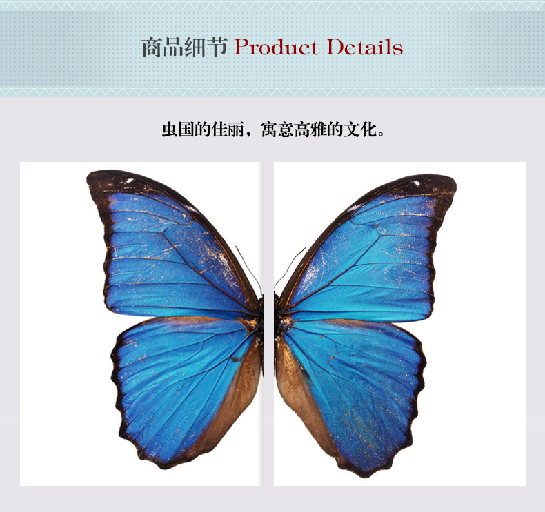 現(xiàn)代輕奢簡(jiǎn)歐動(dòng)物裝飾畫(huà) 餐廳蝴蝶標(biāo)本鋁合金框晶瓷畫(huà) 純手繪油畫(huà) 蝶舞