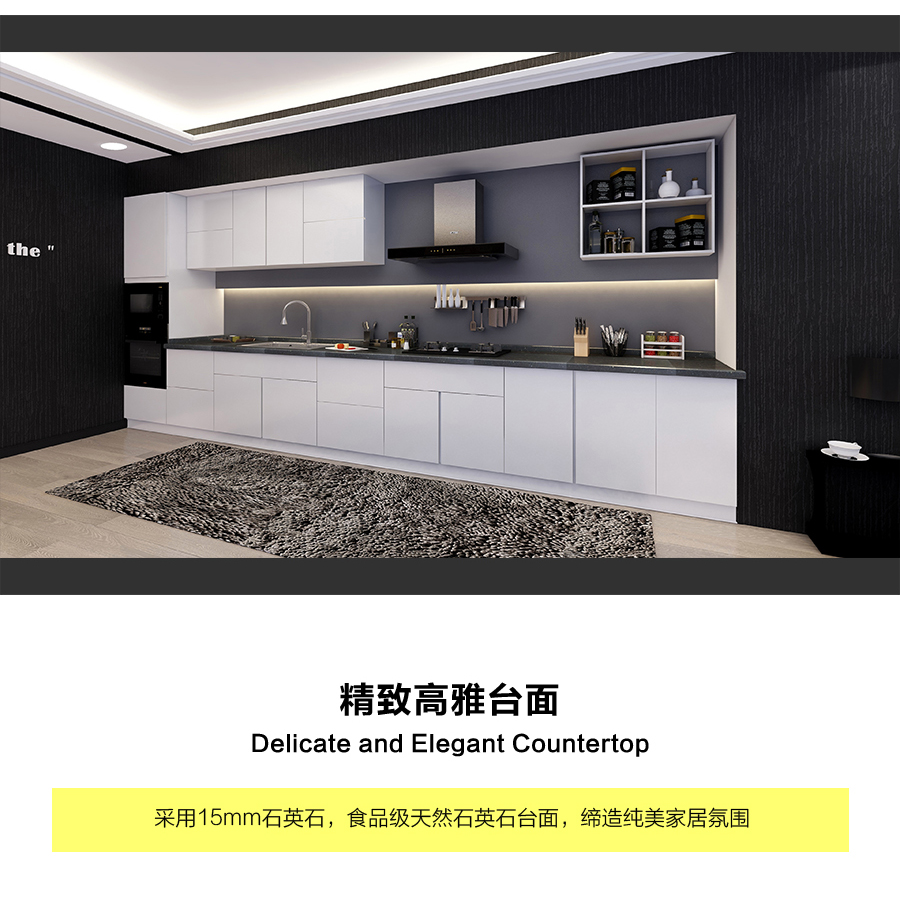 星空梵高定制櫥柜 現代簡約整體定制櫥柜 石英石臺面定制櫥柜 雙飾面-顆粒烤漆010定制櫥柜