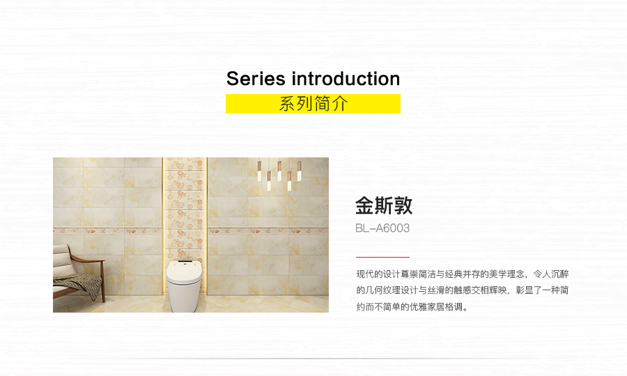 衛(wèi)生間內(nèi)墻磚 金斯敦